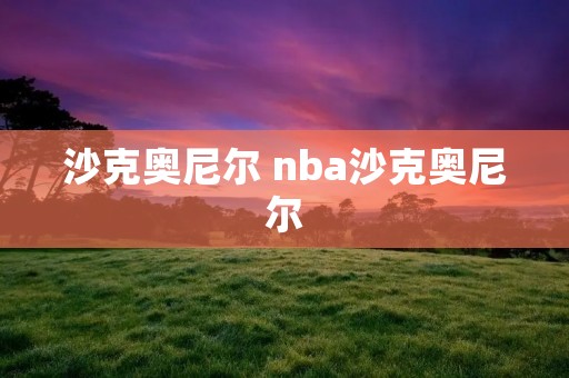 沙克奥尼尔 nba沙克奥尼尔