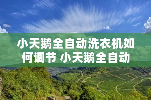 小天鹅全自动洗衣机如何调节 小天鹅全自动洗衣机如何调节水位高低