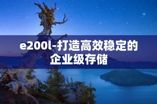 e200l-打造高效稳定的企业级存储 e200l-打造高效稳定的企业级存储