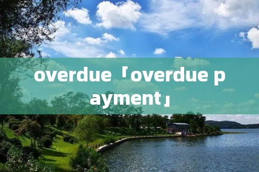 overdue「overdue payment」 overdue「overdue payment」