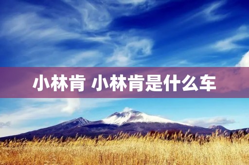 小林肯 小林肯是什么车