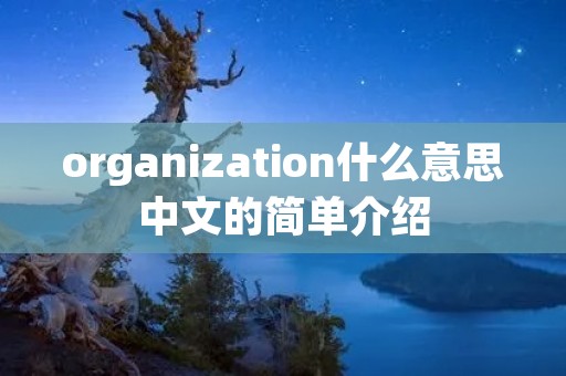 organization什么意思中文的简单介绍