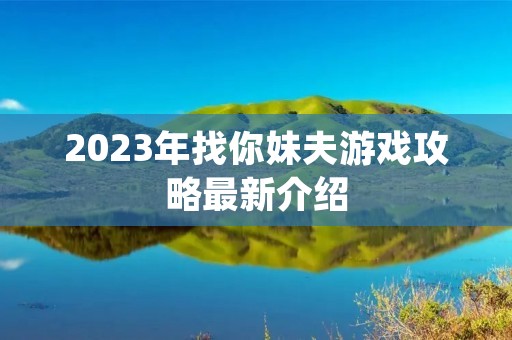 2023年找你妹夫游戏攻略最新介绍