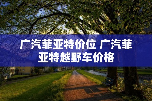 广汽菲亚特价位 广汽菲亚特越野车价格