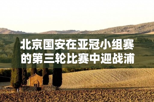 北京国安在亚冠小组赛的第三轮比赛中迎战浦项制铁。这场比赛是北京国安在自己主场的第一场亚冠比赛,球队急需一场胜利来提升士气和积分榜排名。浦项制铁则希望在客场拿到一场胜利,以便在小组赛中保持领先地位。 北京国安在亚冠小组赛的第三轮比赛中迎战浦项制铁。这场比赛是北京国安在自己主场的第一场亚冠比赛,球队急需一场胜利来提升士气和积分榜排名。浦项制铁则希望在客场拿到一场胜利,以便在小组赛中保持领先地位。