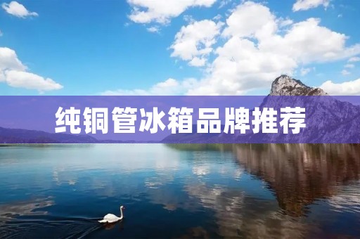 纯铜管冰箱品牌推荐 纯铜管冰箱品牌推荐