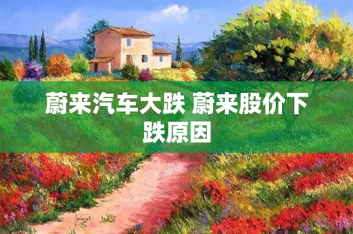 蔚来汽车大跌 蔚来股价下跌原因