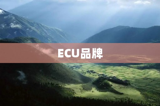 ECU品牌:打造高品质汽车电子控制系统 ECU品牌:打造高品质汽车电子控制系统