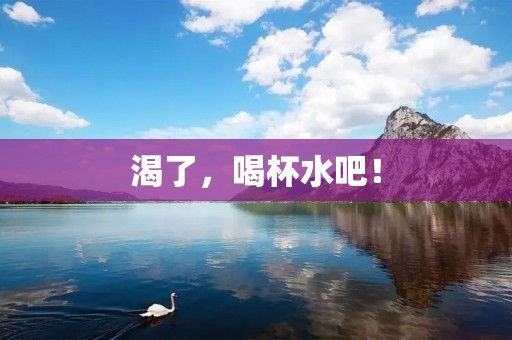 渴了,喝杯水吧! 渴了,喝杯水吧!