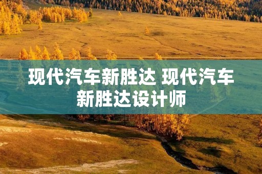 现代汽车新胜达 现代汽车新胜达设计师