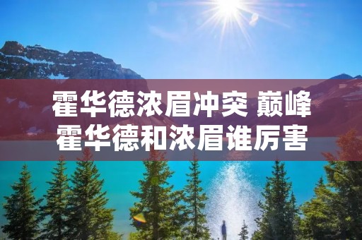 霍华德浓眉冲突 巅峰霍华德和浓眉谁厉害