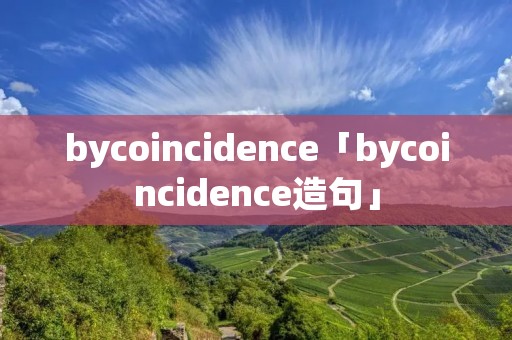 bycoincidence「bycoincidence造句」
