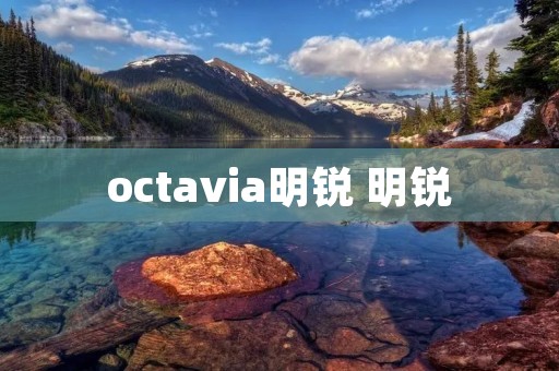 octavia明锐 明锐 octavia明锐 明锐