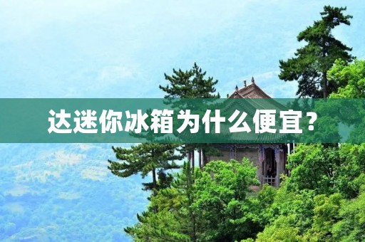 达迷你冰箱为什么便宜？