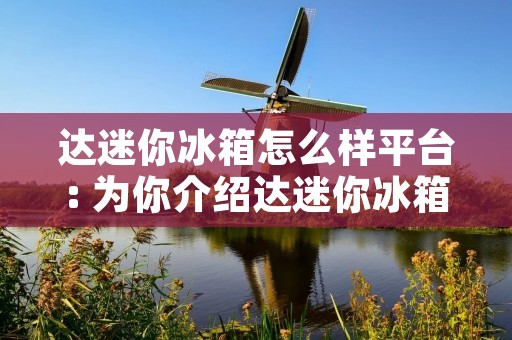 达迷你冰箱怎么样平台: 为你介绍达迷你冰箱的特点和优势