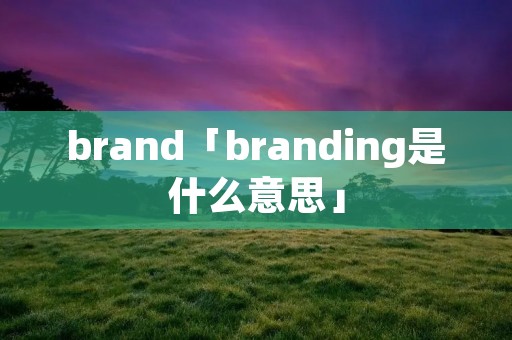brand「branding是什么意思」