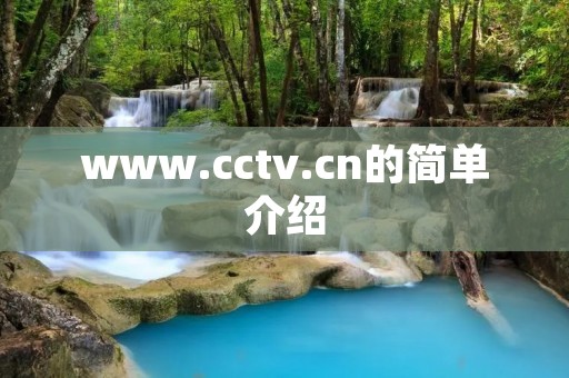 www.cctv.cn的简单介绍