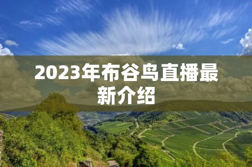 2023年布谷鸟直播最新介绍