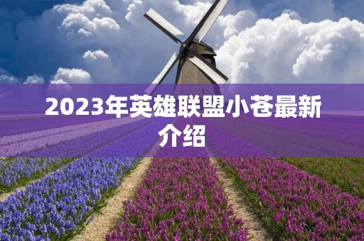 2023年英雄联盟小苍最新介绍