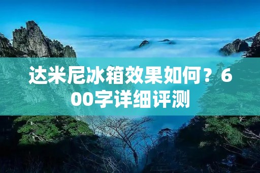 达米尼冰箱效果如何?600字详细评测 达米尼冰箱效果如何?600字详细评测