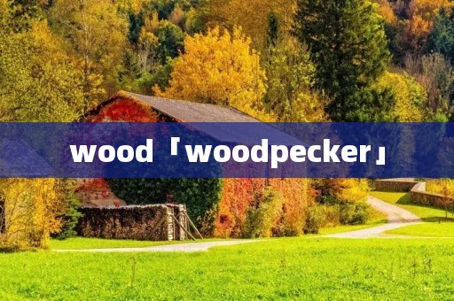 wood「woodpecker」