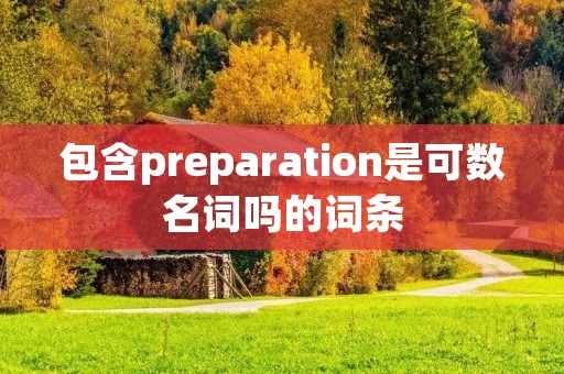 包含preparation是可数名词吗的词条