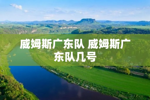 威姆斯广东队 威姆斯广东队几号