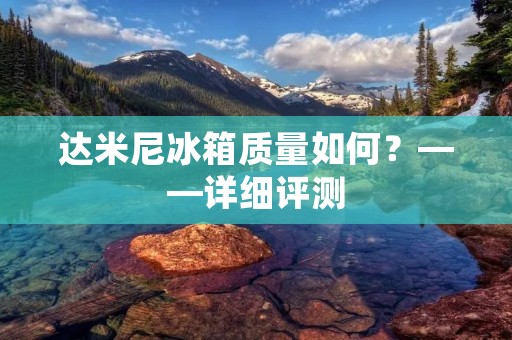 达米尼冰箱质量如何？——详细评测