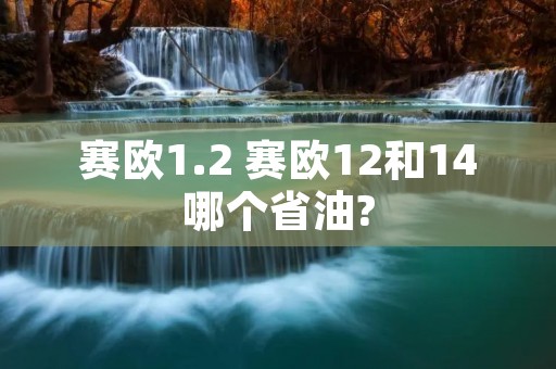 赛欧1.2 赛欧12和14哪个省油? 赛欧1.2 赛欧12和14哪个省油?