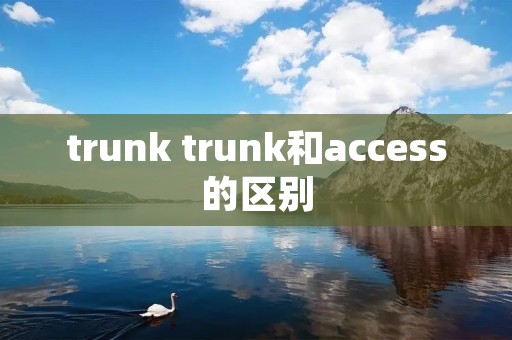 trunk trunk和access的区别