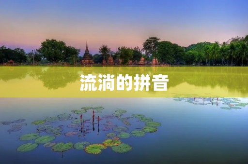 流淌的拼音:汉语拼音的历史与现状