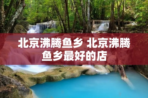 北京沸腾鱼乡 北京沸腾鱼乡最好的店
