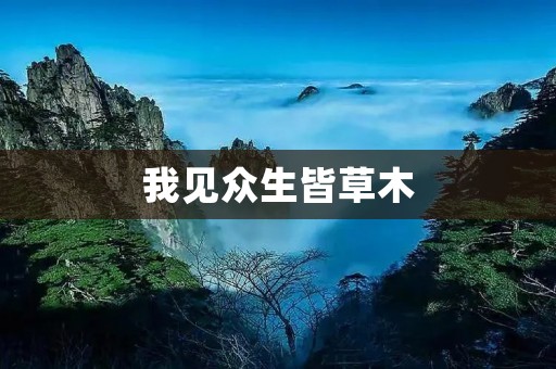 我见众生皆草木