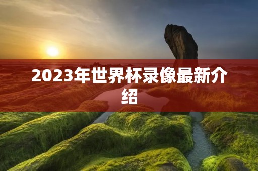 2023年世界杯录像最新介绍
