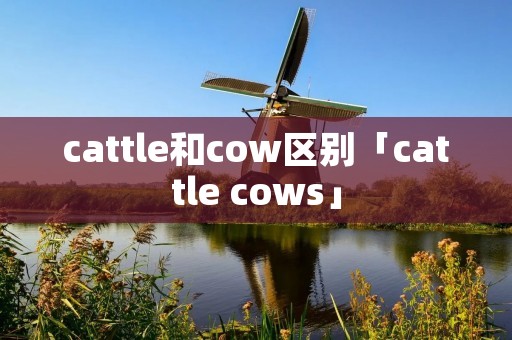 cattle和cow区别「cattle cows」 cattle和cow区别「cattle cows」