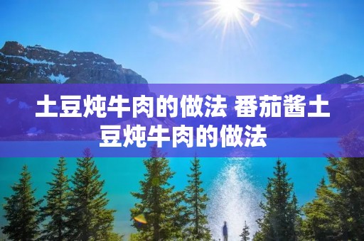 土豆炖牛肉的做法 番茄酱土豆炖牛肉的做法
