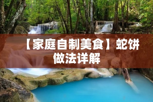 【家庭自制美食】蛇饼做法详解