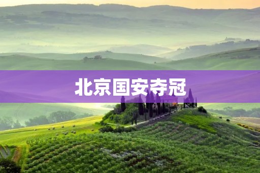 北京国安夺冠:中国足球的新起点 北京国安夺冠:中国足球的新起点