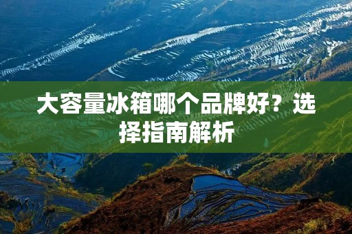大容量冰箱哪个品牌好？选择指南解析
