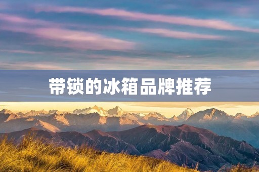 带锁的冰箱品牌推荐 带锁的冰箱品牌推荐