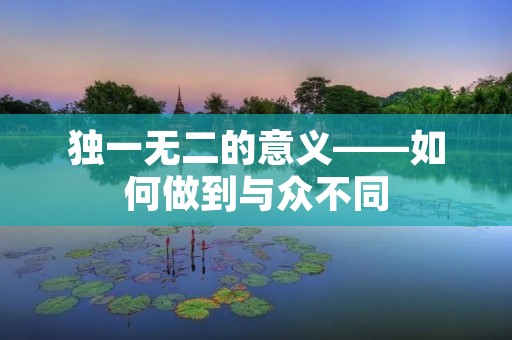 独一无二的意义——如何做到与众不同