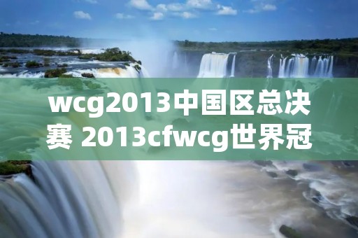wcg2013中国区总决赛 2013cfwcg世界冠军