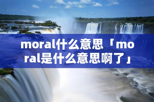 moral什么意思「moral是什么意思啊了」