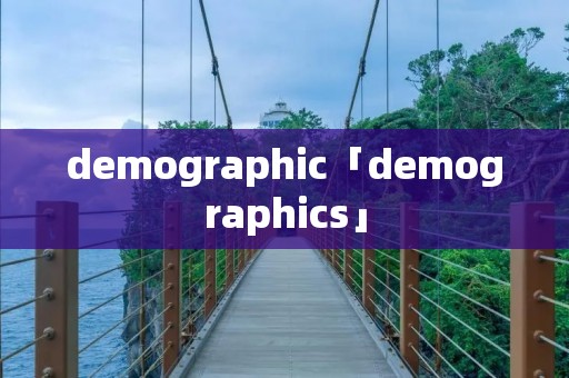 demographic「demographics」 demographic「demographics」
