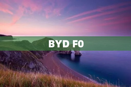 BYD F0:城市微型车的智能之选 BYD F0:城市微型车的智能之选