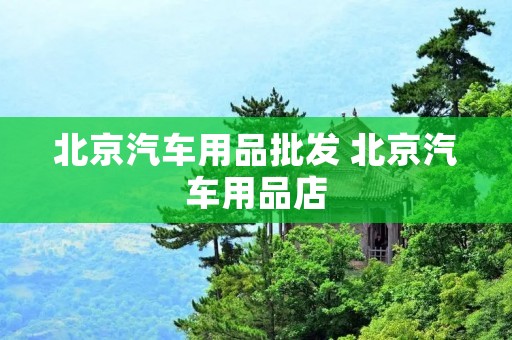 北京汽车用品批发 北京汽车用品店