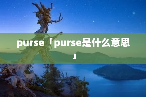 purse「purse是什么意思」