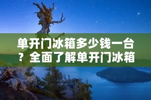 单开门冰箱多少钱一台?全面了解单开门冰箱价格 单开门冰箱多少钱一台?全面了解单开门冰箱价格