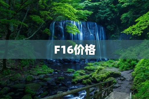 F16价格:一款高性能战斗机的价格到底有多高? F16价格:一款高性能战斗机的价格到底有多高?