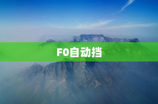 F0自动挡:小巧便捷,驾驶轻松自如 F0自动挡:小巧便捷,驾驶轻松自如